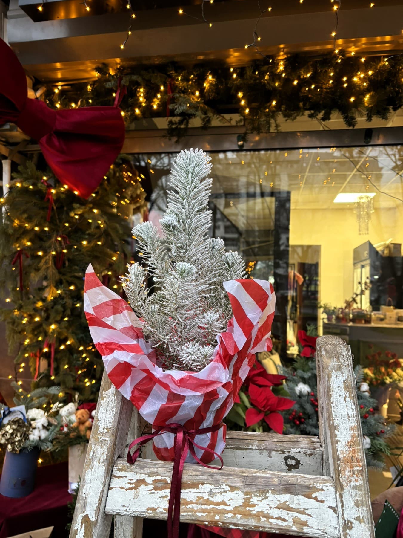 Снежна елка