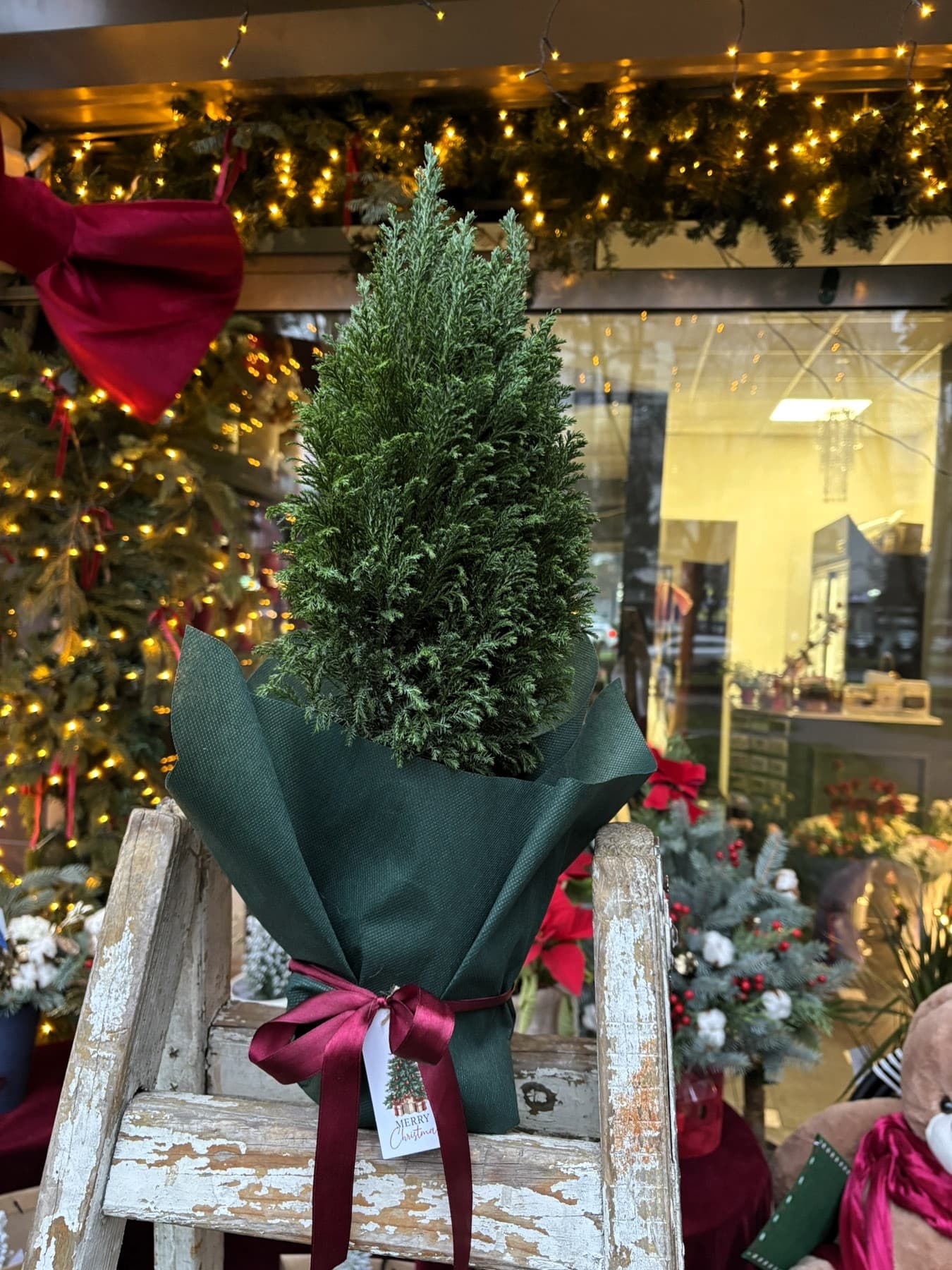 Зелена Мини Елка