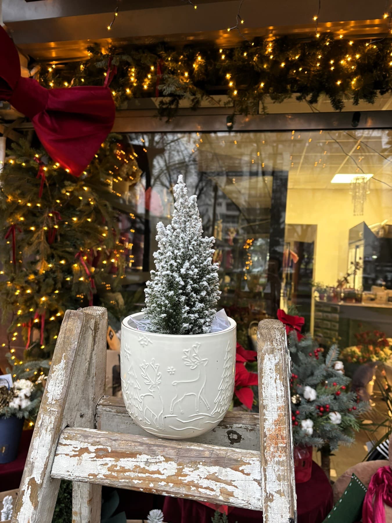 Зимска Приказна