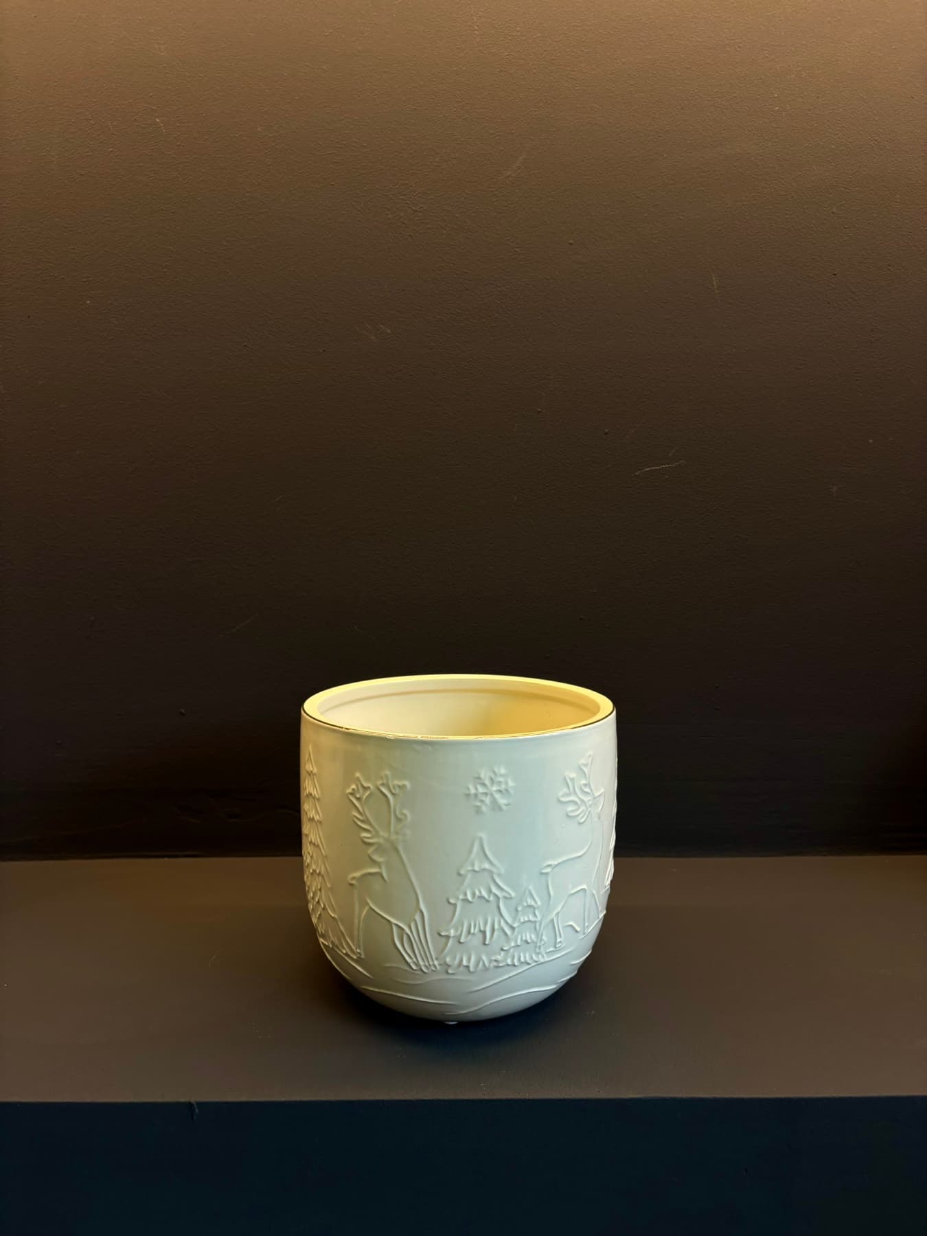 Бела саксија „Зимска шума“