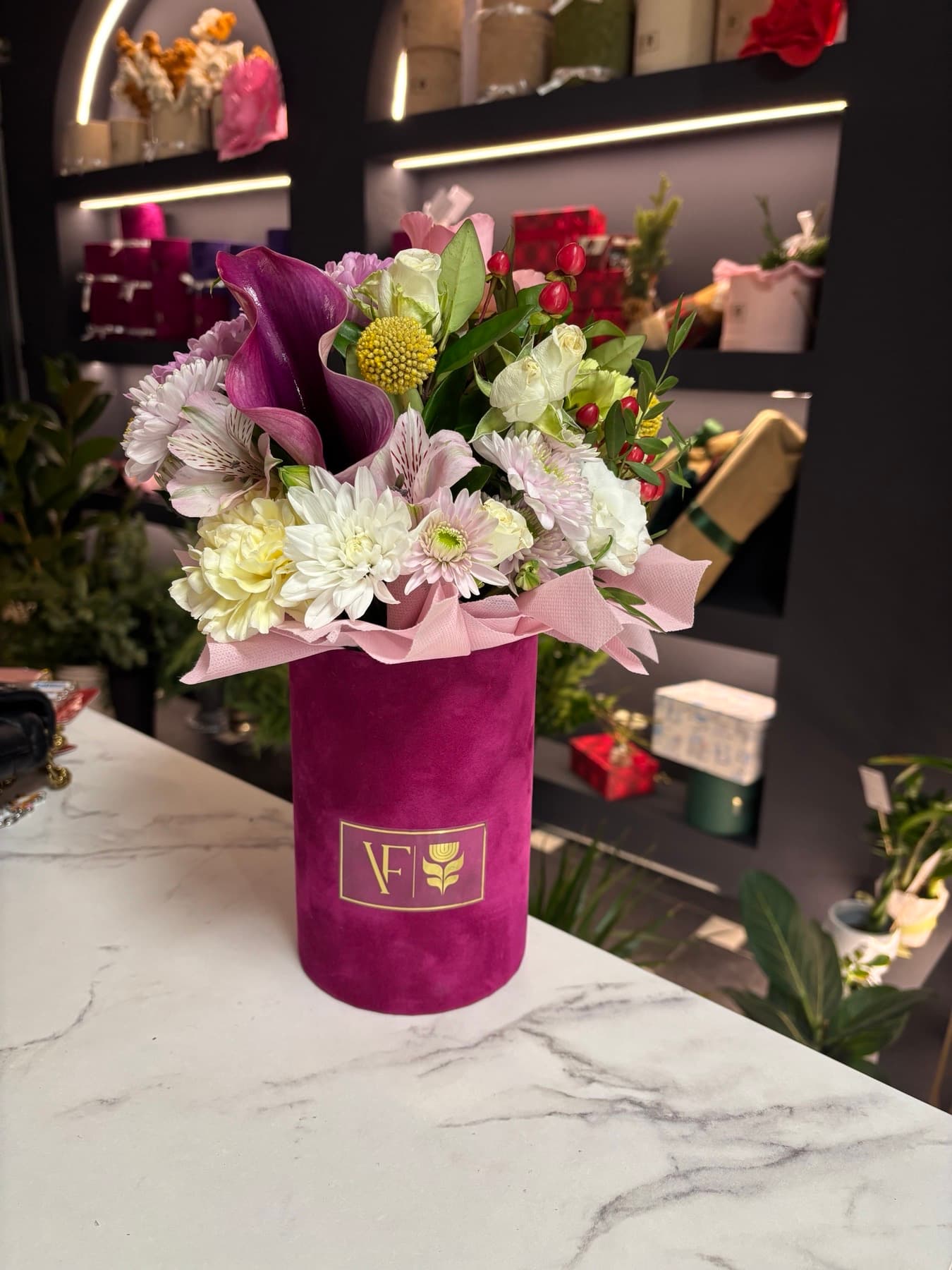 Модерна циклама цветна кутија