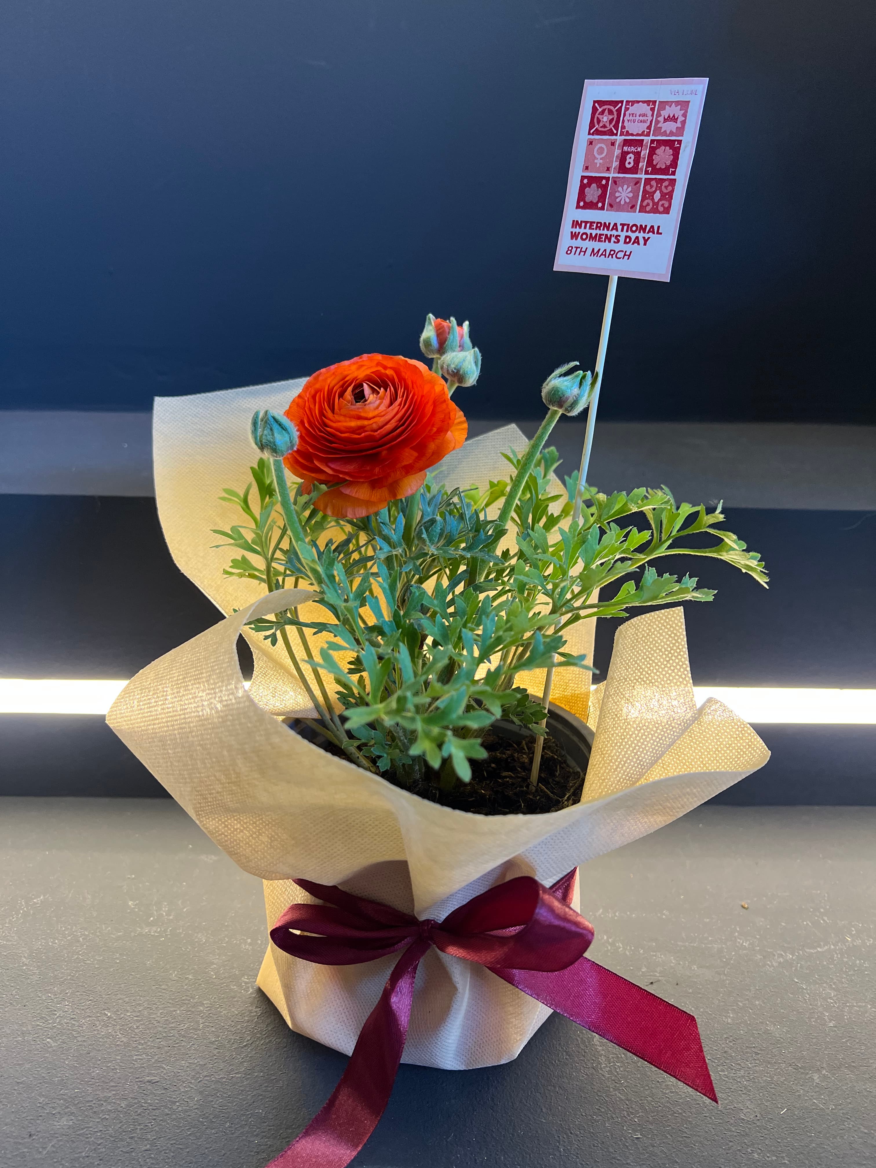 Ранункулус